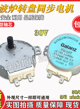 适用于格兰仕微波炉转盘同步电机托盘电机D孔SM-16T AC 30V 50/