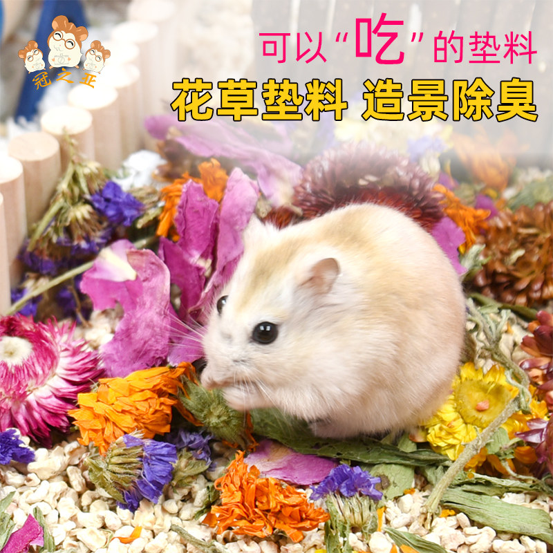 花草宠物垫料仓鼠除臭木屑窝笼子布景造景装饰品金丝熊用品龙猫兔