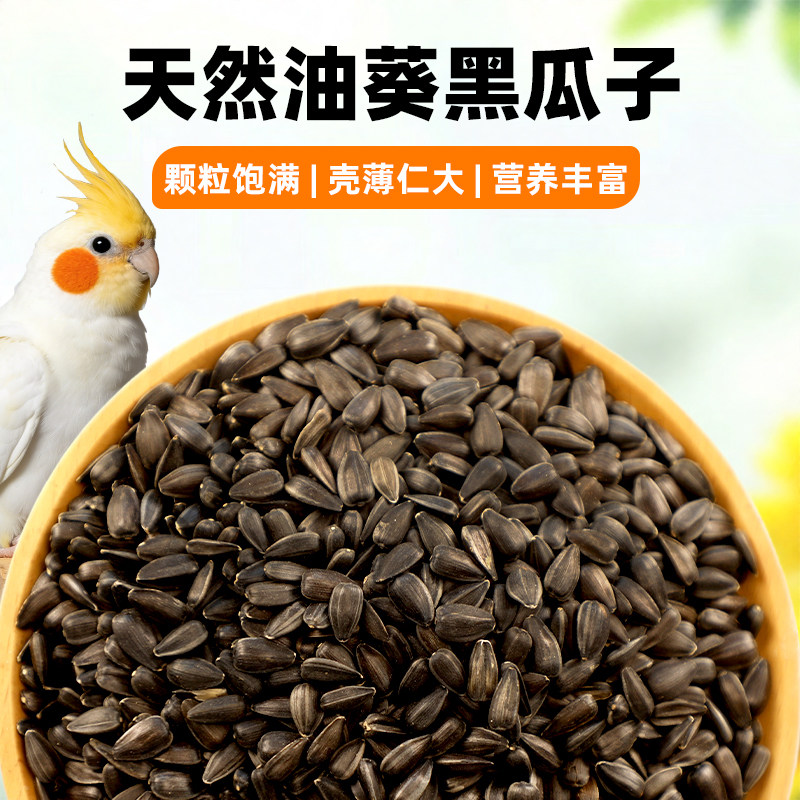 鹦鹉零食油葵小瓜子黑珍珠瓜籽虎皮牡丹玄凤小太阳专用磨牙零食