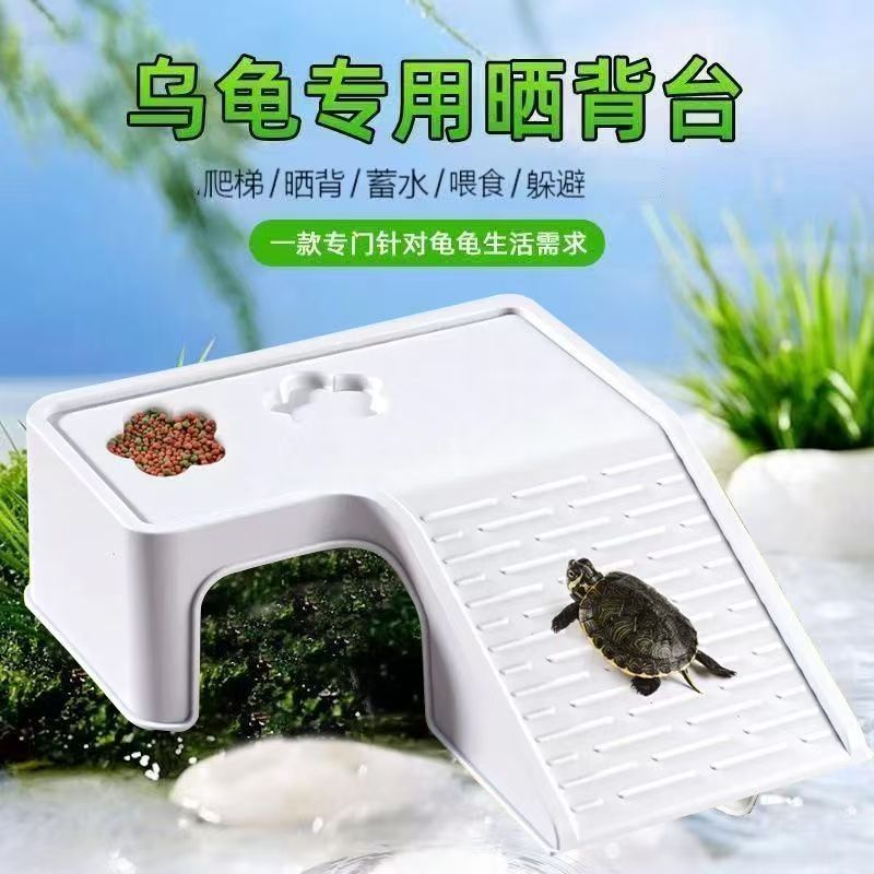 乌龟晒台爬台休息台养龟缸造景图片
