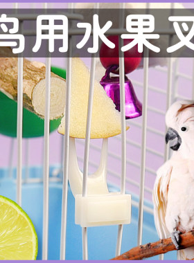 冠之亚鹦鹉安全水果叉防掉食鸟用