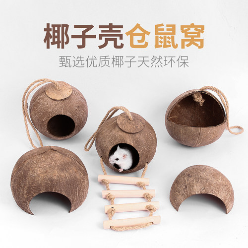 冠之亚仓鼠椰壳金丝熊