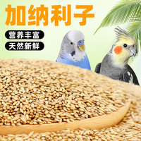 加纳利子鹦鹉鸟粮饲料虎皮玄风牡丹鹦鹉粮食中小型鹦鹉专用零食