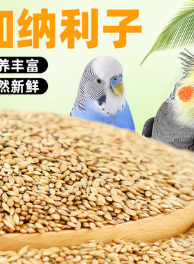 加纳利子鹦鹉鸟粮饲料虎皮玄风牡丹鹦鹉粮食中小型鹦鹉专用零食