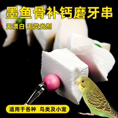 冠之亚墨鱼骨鹦鹉磨牙用品