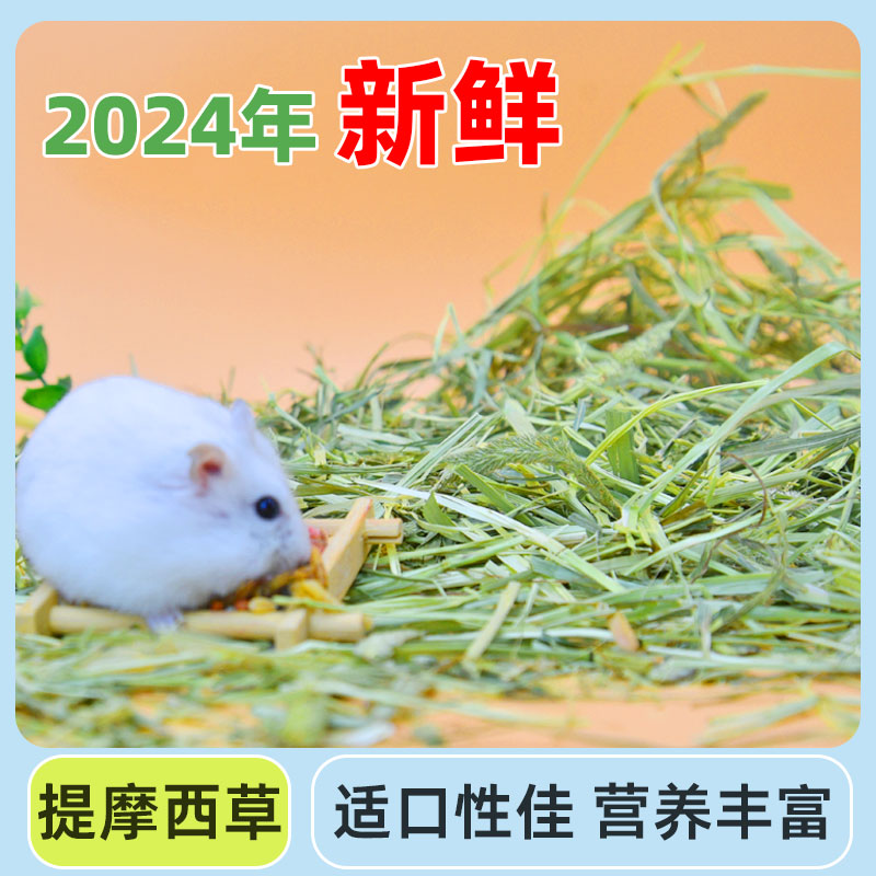 提摩西草热销兔子龙猫荷兰猪食用新鲜提草小宠烘干提摩西草