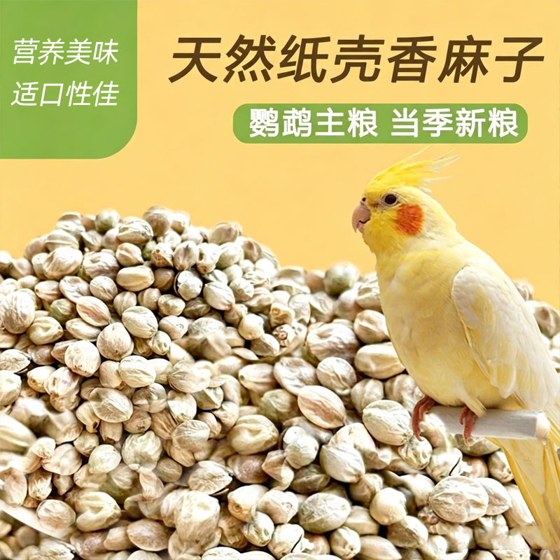 冠之亚天然纸壳香麻子鹦鹉主粮营养美味适口性佳当季新粮鹦鹉鸟食