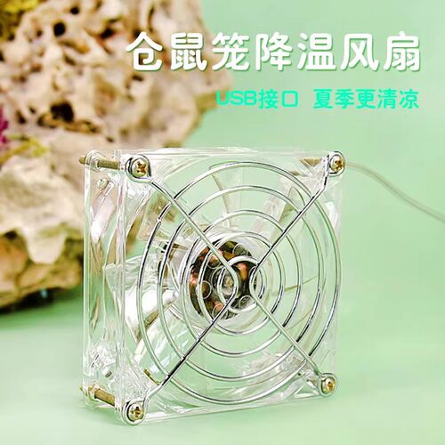 冠之亚金丝熊夏天降温消暑散热