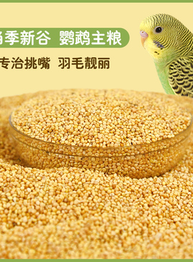 鸟粮新黄谷子带壳小米虎皮玄凤鹦鹉鸟食中小型鹦鹉文鸟饲料5斤