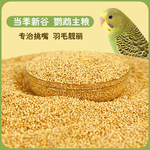 鸟粮新黄谷子带壳小米虎皮玄凤鹦鹉鸟食中小型鹦鹉文鸟饲料5斤
