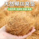 鸚鵡椰絲墊料牡丹玄鳳鳥窩鳥巢繁殖墊材保暖防潮透氣蓬松椰絲1