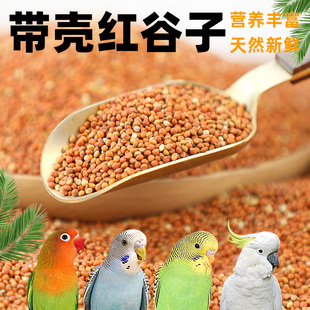 新品红黄谷子带壳小米虎皮牡丹玄凤中小型鹦鹉文鸟鸟粮鸟食鸟饲料