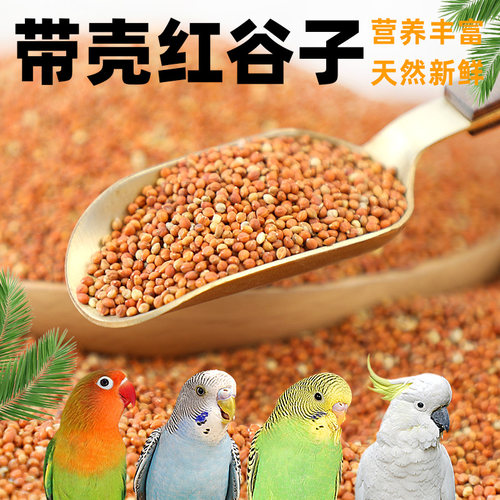 冠之亚新品红黄谷子带壳小米鸟食
