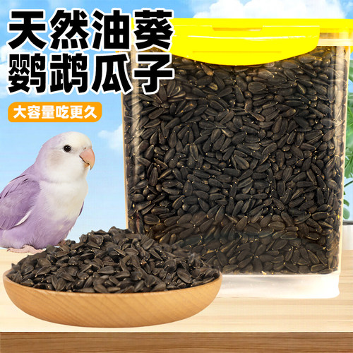 鹦鹉油葵小瓜子零食用品