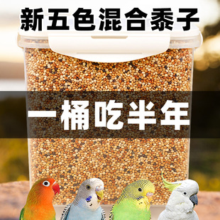 五色黍子虎皮玄凤鸟粮适合各种鹦鹉种类鹦鹉娇凤五色黍子营养粮食