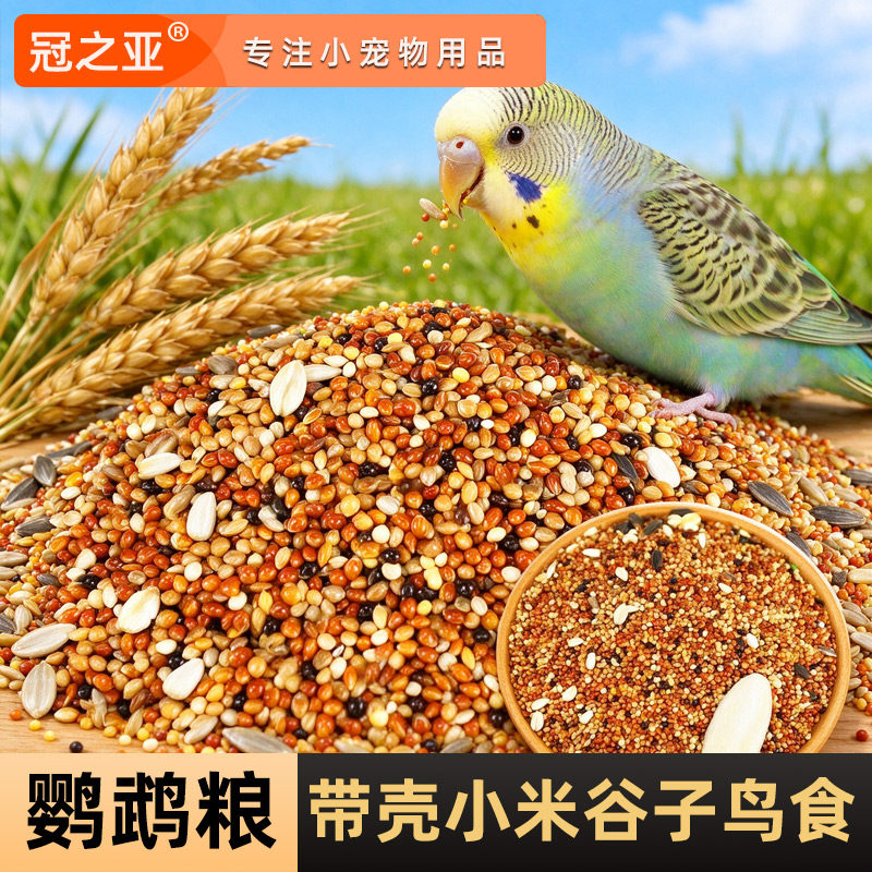 牡丹玄凤虎皮珍珠鸟小太阳专用粮黄谷子五色黍子纸皮麻子混合粮食图片