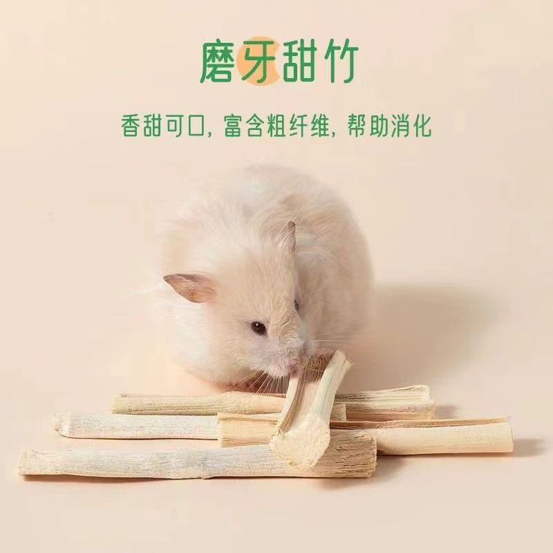 磨牙甜竹兔子仓鼠龙猫荷兰猪豚鼠