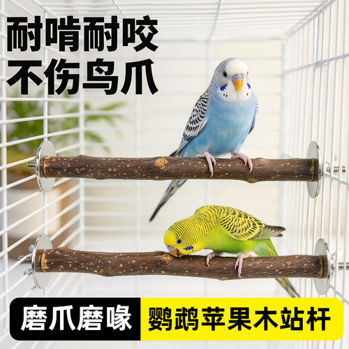 鹦鹉苹果木栖息磨爪站杆