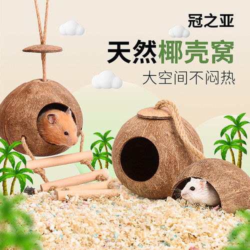 冠之亚花枝鼠金丝熊躲避屋椰子壳