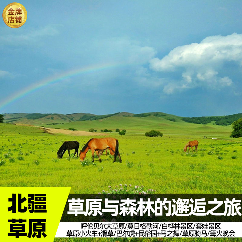 内蒙古旅游呼伦贝尔草原白桦林室韦套娃巴尔虎6天5晚包车私家团