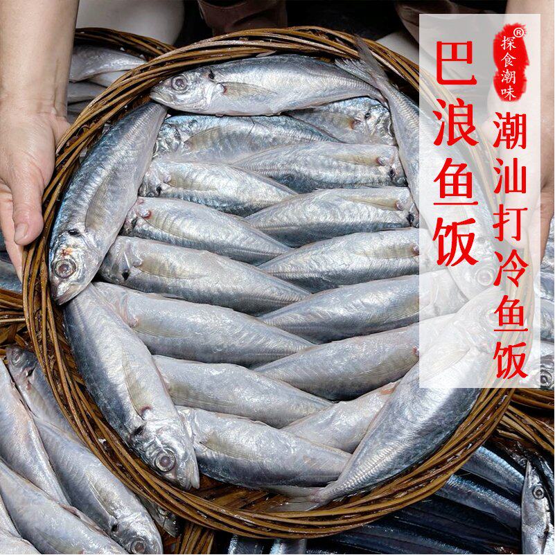潮汕特色鱼饭打冷巴浪鱼饭去内脏当天制作鲜甜一整筐6斤顺丰发货