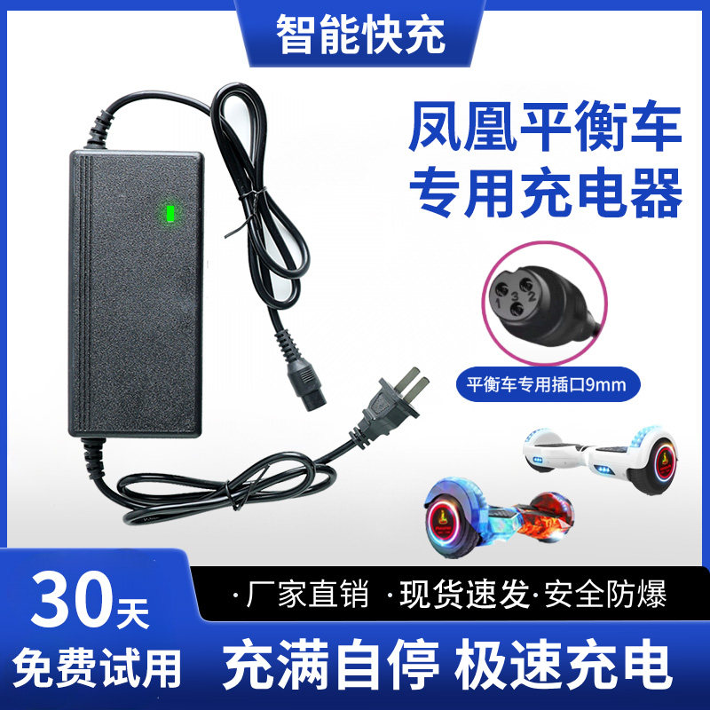 凤凰电动平衡车充器三孔头