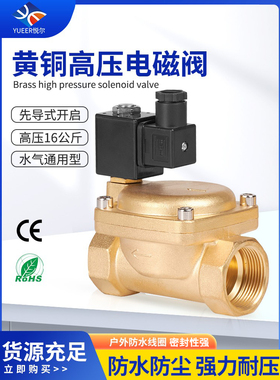 先导式黄铜高压电磁阀AC220V24V12V大流量水阀气阀管道开关电子阀