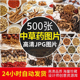 高清中药图片名贵中草药中医药材实拍摄影图照片广告图库电子素材