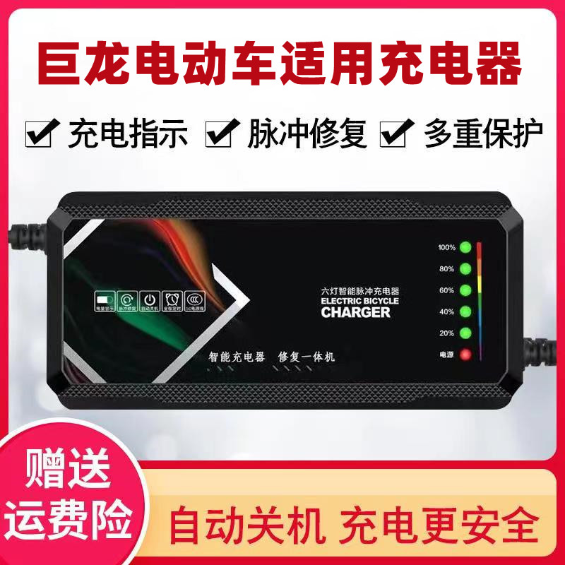 巨龙电动车电瓶充电器48V