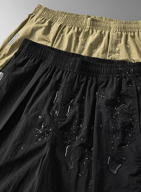 DRIVESTRAIGHT 23SS夏季宽松防泼水速干透气纯色刺绣休闲短裤DSTR