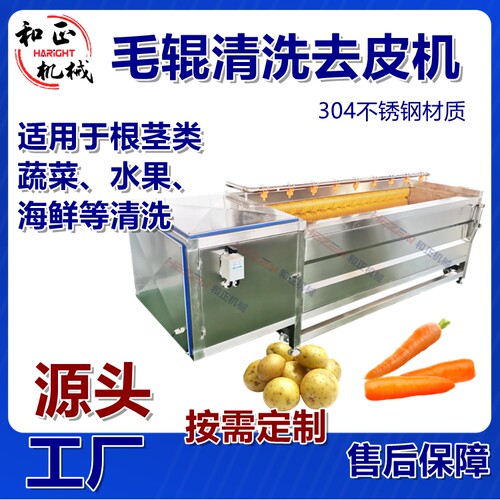 商用毛辊清洗去皮一体机全自动小型胡萝卜土豆山药渣水分离毛刷机