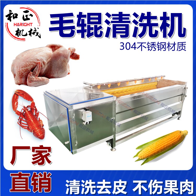 毛辊清洗去皮机商用毛刷去皮机香芋土豆去皮机螺旋毛刷机