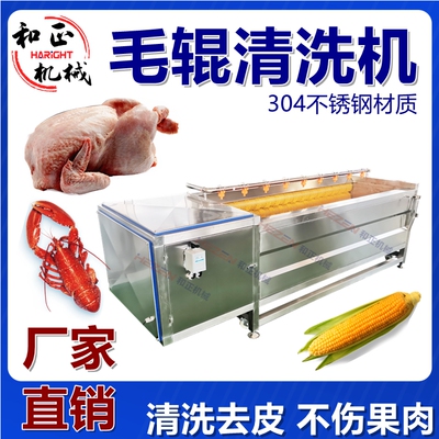电动商用多功能萝卜土豆去皮机 红薯脱皮机 毛刷清洗去皮机
