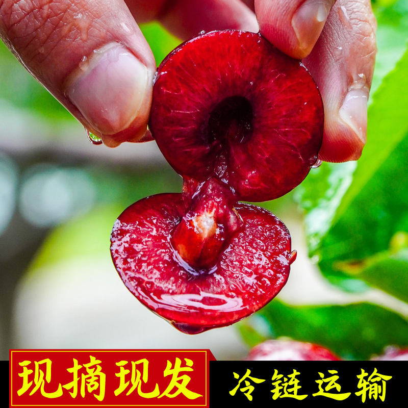 网友分享在meiguo.com的图片