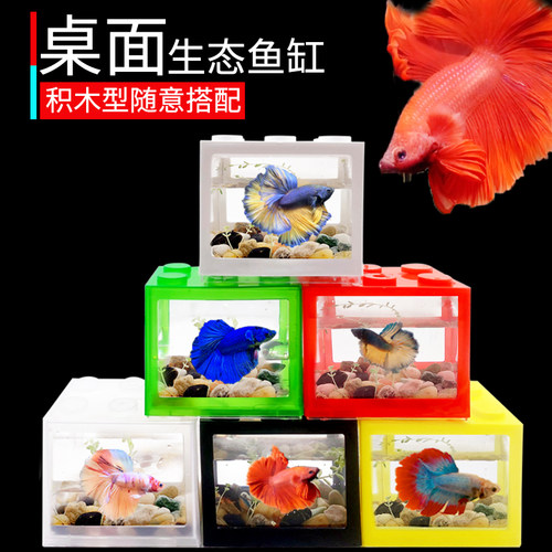 积木盒斗鱼缸桌面宿舍造景迷你缸