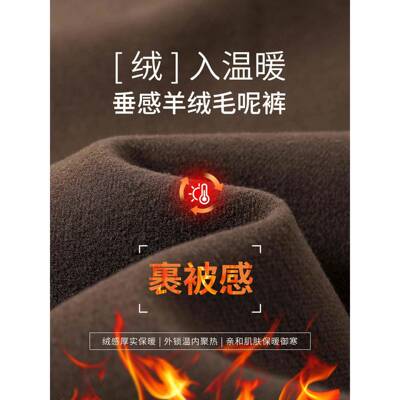 醋酸羊毛JYN阔腿裤女冬2025新秋款高腰老刀钱风西裤装休闲毛绒弯