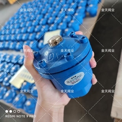 QB1铸铁丝接排气阀快速自动进排气阀DN20-DN50清水采暖P11X