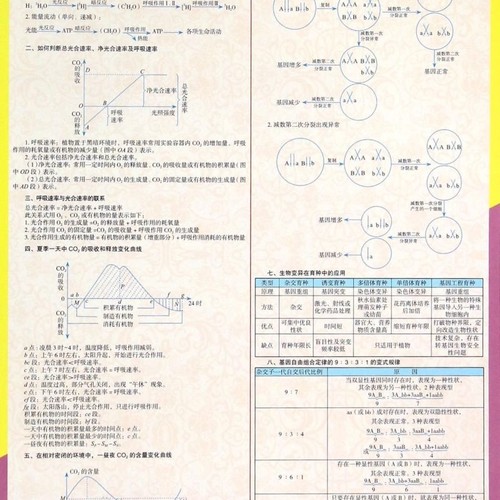 多功能学习垫板(高中生物)