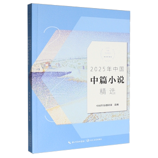 2025年中国中篇小说精选