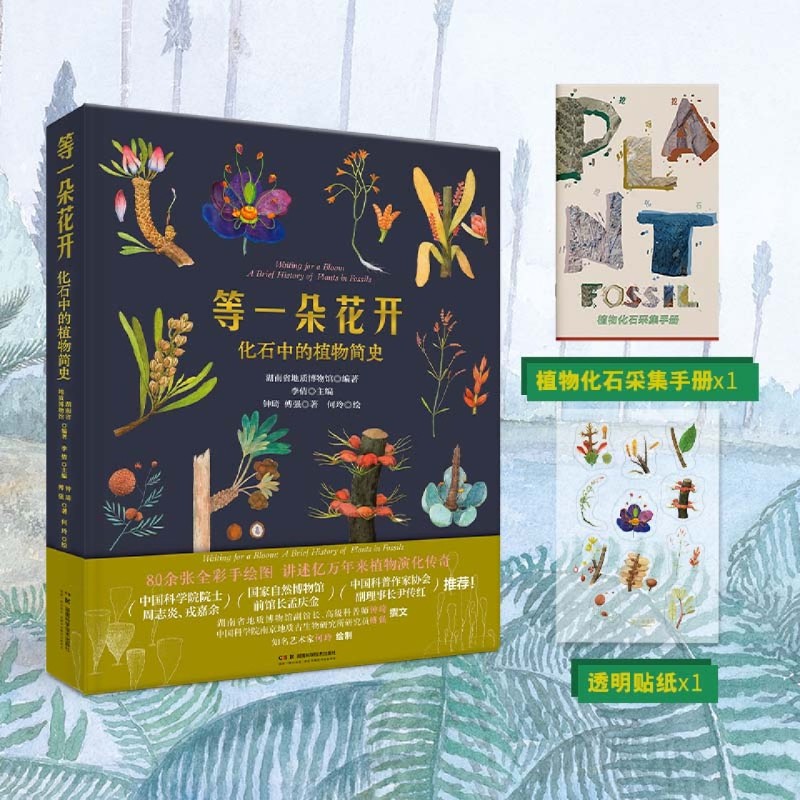 等一朵花开:化石中的植物简史