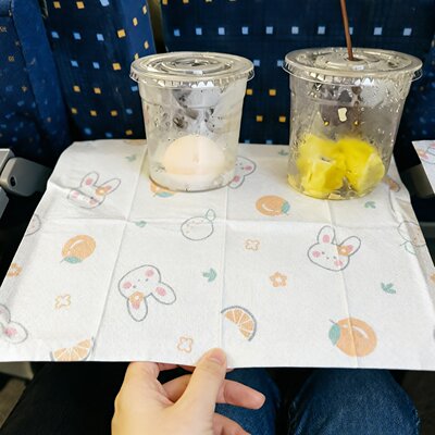 【出行好物】一次性桌垫暑假出游外出做高铁防油防水小桌板隔脏布