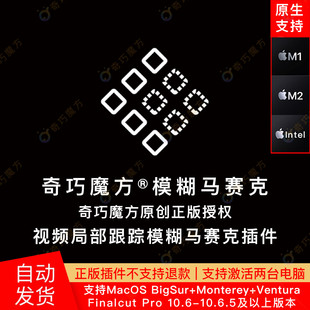 支持M1 奇巧魔方FCPX奇巧魔方视频局部跟踪模糊马赛克插件