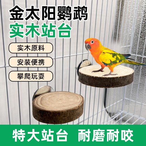 鹦鹉花椒木站台虎皮牡丹专用实木站板休息平台跳台鸟笼装饰用品