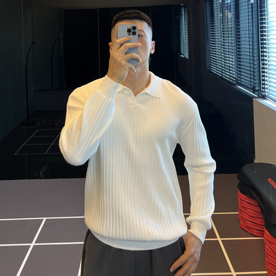 海鸥领条纹毛衣男内搭针织衫修身