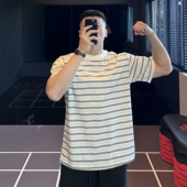 irontrap横条纹圆领混纺棉短袖 亲肤透气T恤运动健身衣服春夏 男士