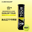 2024新球 DUNLOP邓禄普网球加亮网球练习比赛用球TOUR BRILLIANCE