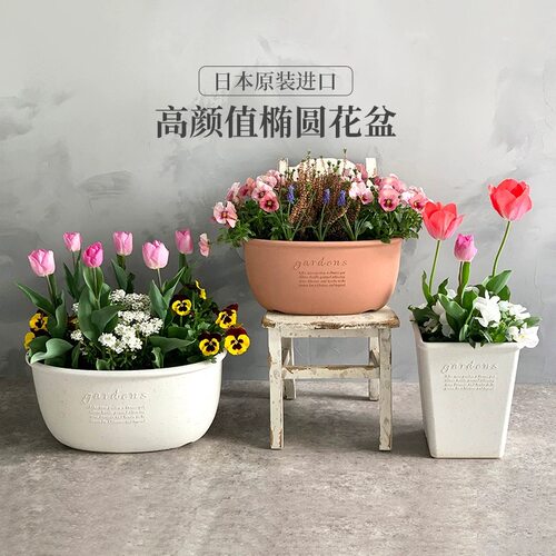 日本树脂椭圆形花盆高颜值
