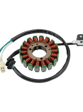 摩托车电磁线圈配件适配TTR250改装零件沙滩车电动车