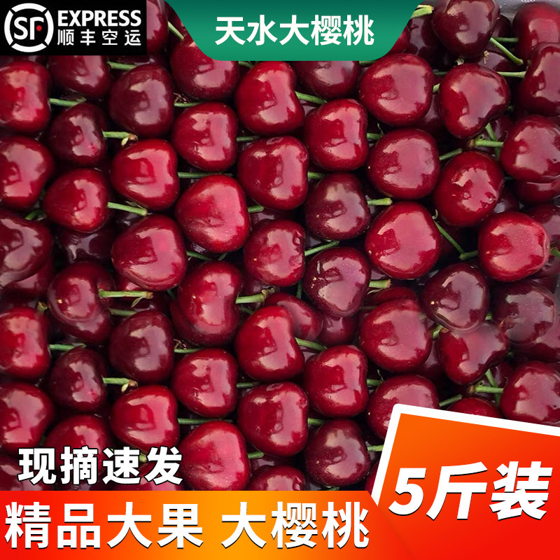 天水大樱桃5斤装0-8度甘肃天水