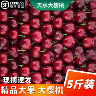 樱桃新鲜水果车厘子天水美早大樱桃孕妇应季水果5斤装时令包邮